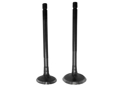 KIT VALVULAS ADM/ESC B. RE175/RE205 MOTOCARRO