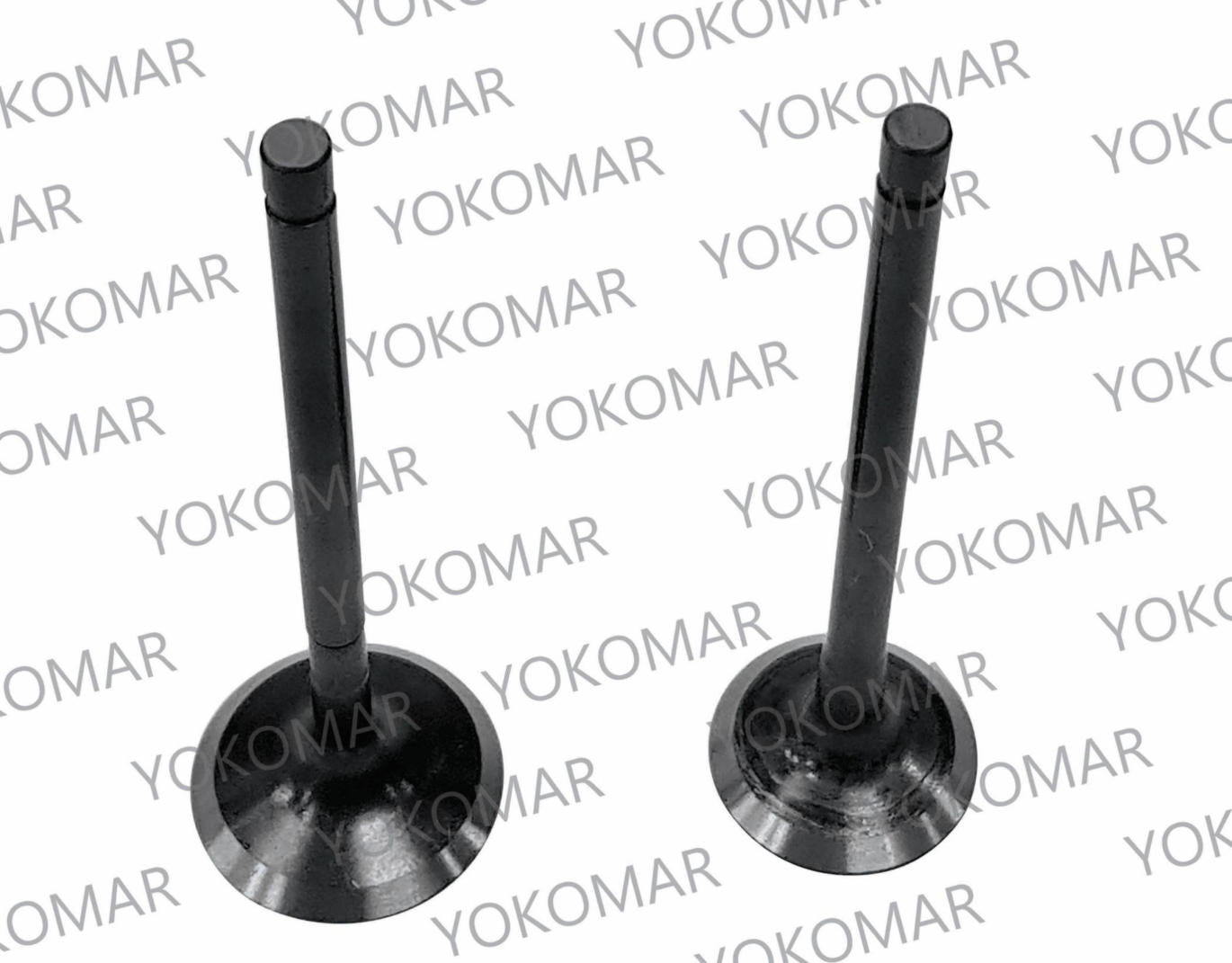 KIT VALVULAS ADM/ESC AK. AK235/JC250 FORZA/NATSUKI250 MOTOCARGUERO