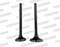 KIT VALVULAS ADM/ESC S. VIVA115/VIVAX115/BEST125
