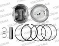 KIT PISTON B. DISCOVER100/BM100 (2 VALVULAS) STD