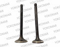 KIT PISTON B. RE205 MOTOCARRO 0.50